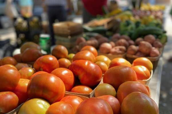 Market in the Park | Fall 2025