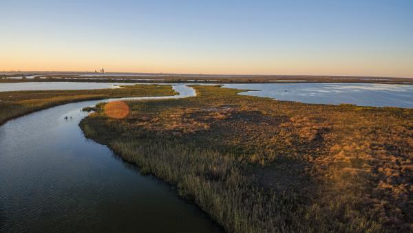 water and grass land masses at sunset