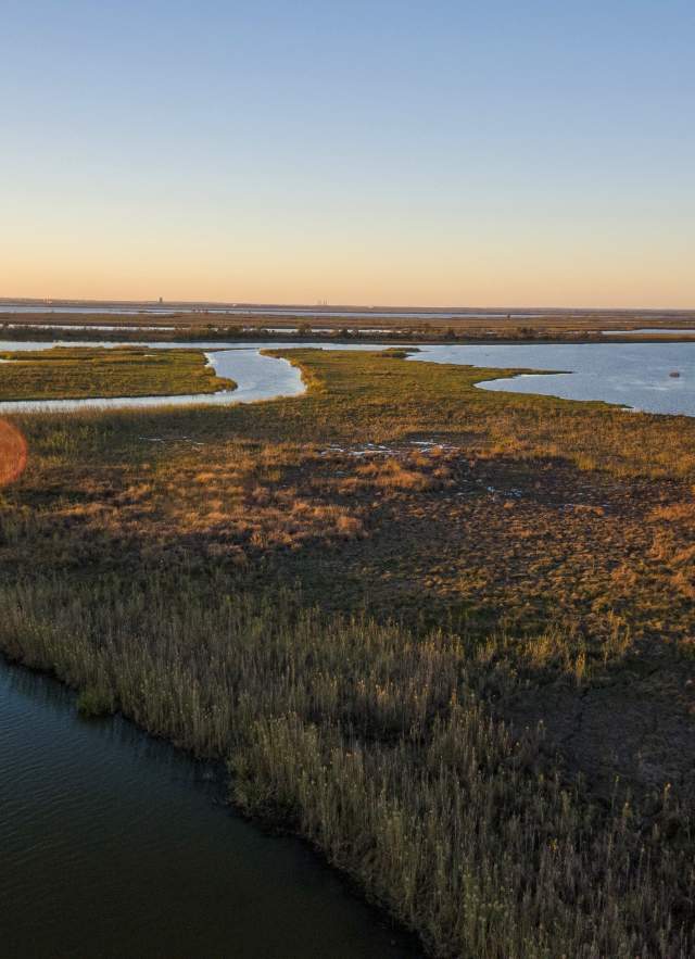 First Timer's Guide to Mobile