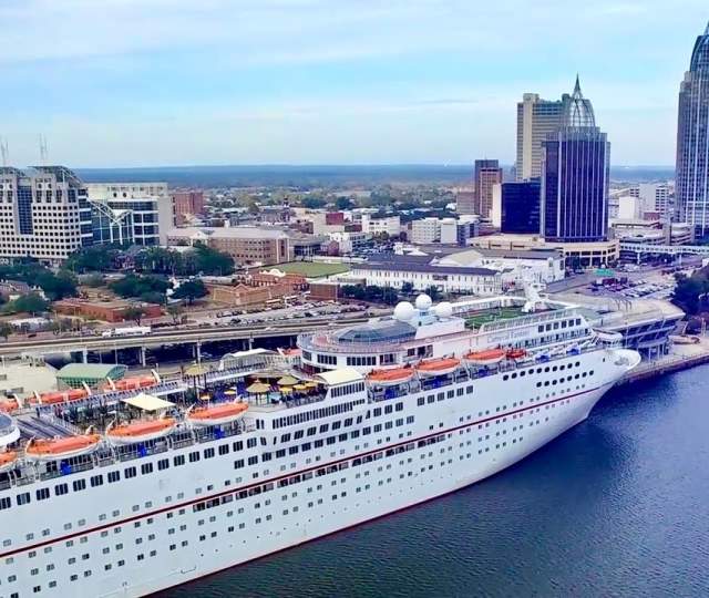 Born To Celebrate YOUR Meeting!