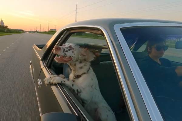 "Mobile is for Best Friends" video nominated for Best Local TV Ad