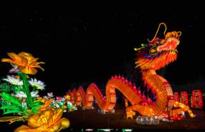 Orange dragon lantern