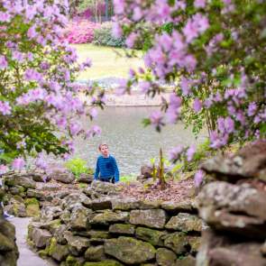 Light pink flowers around a stone wall in front of a lake