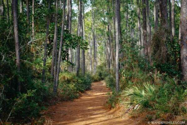 Gulf Coast Road Trip: 9 days in Alabama and Mississippi US