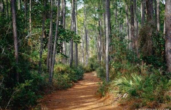 Gulf Coast Road Trip: 9 days in Alabama and Mississippi US