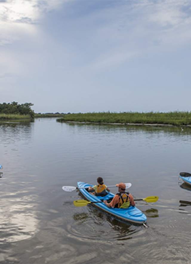 Spring Break the Mobile Way