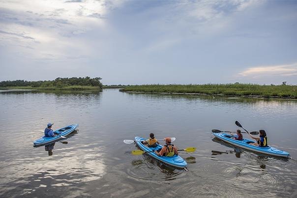People in 3 kayaks in the Delta