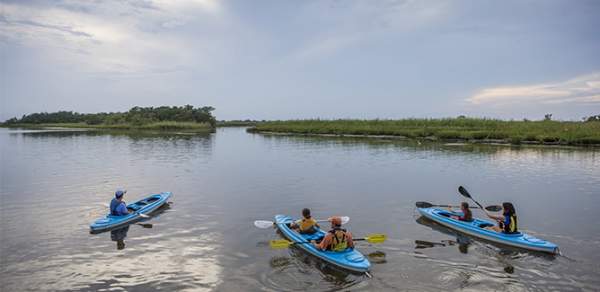 People in 3 kayaks in the Delta