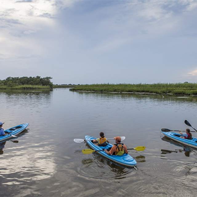 People in 3 kayaks in the Delta