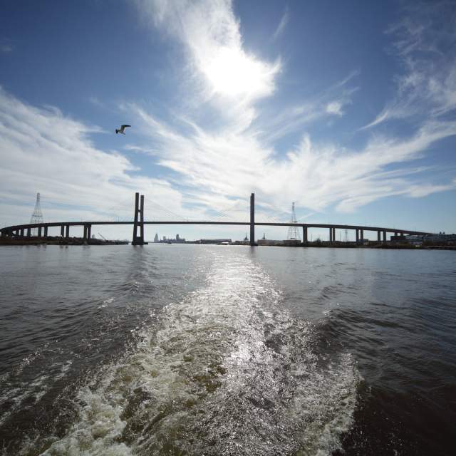 bridge over a body of water