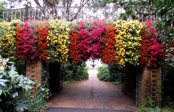 Mums hanging over the side of a bridge over a walkway