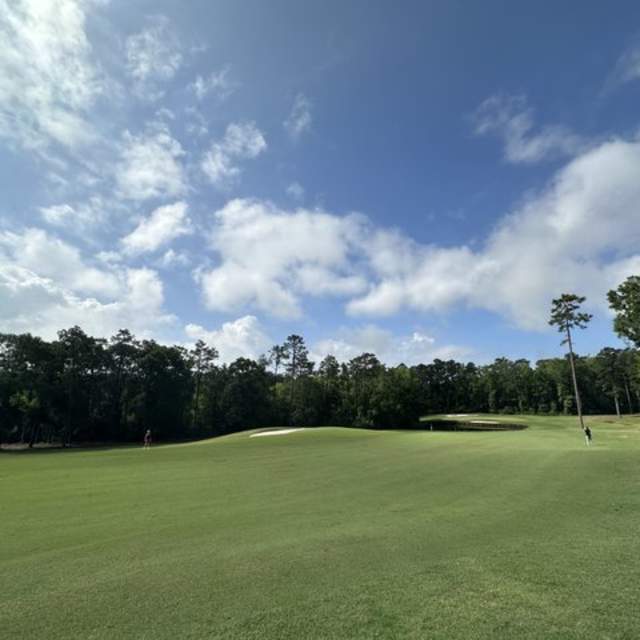 Sweet home Alabama: Where golfers won't be blue