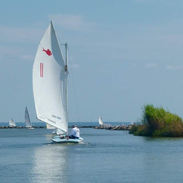 sailboat in the Mobile Bay