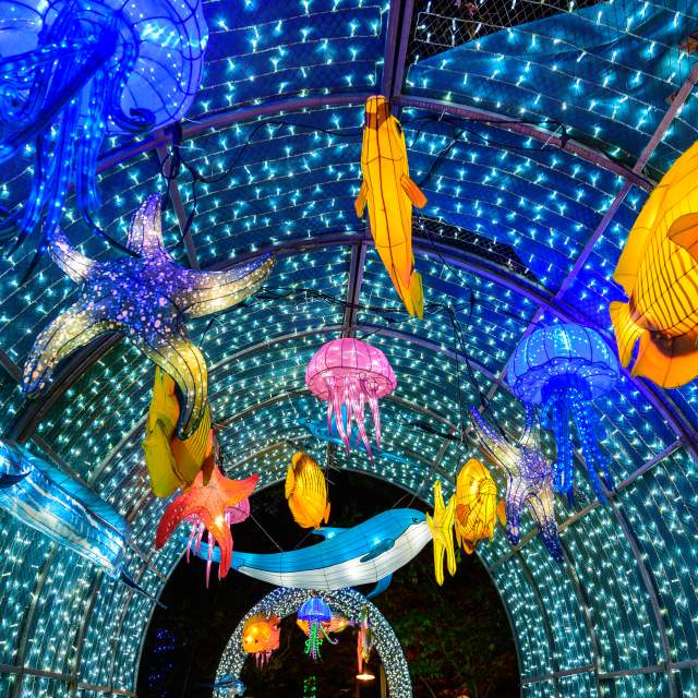 Illuminated tunnel at Bellingrath Gardens & Home