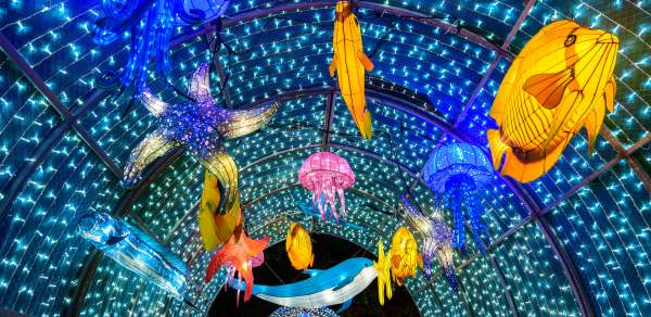 Illuminated tunnel at Bellingrath Gardens & Home