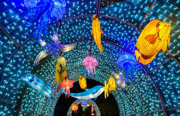 Illuminated tunnel at Bellingrath Gardens & Home